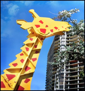 giraffe