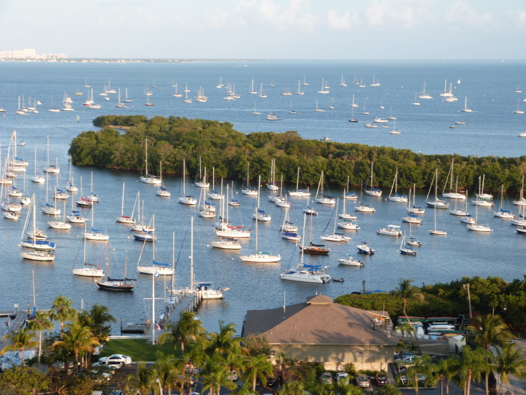 Coconut grove site image